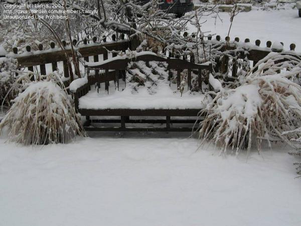 Winter-Garden bench