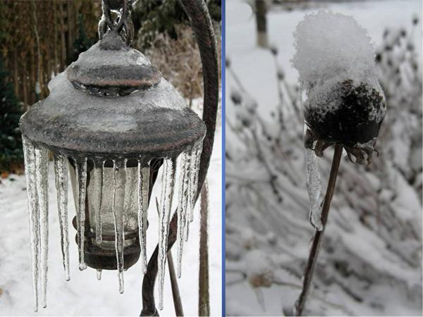 Winter-Icy lantern and Echinacea seed head with snow hat